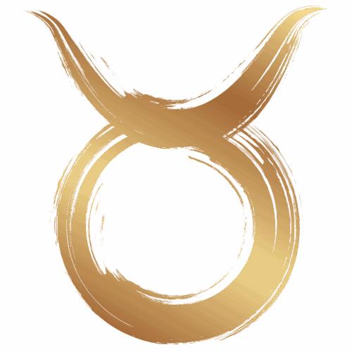 Stier