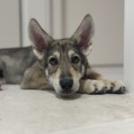 Standard Dunkelbraun +1,00&nbsp;&euro;