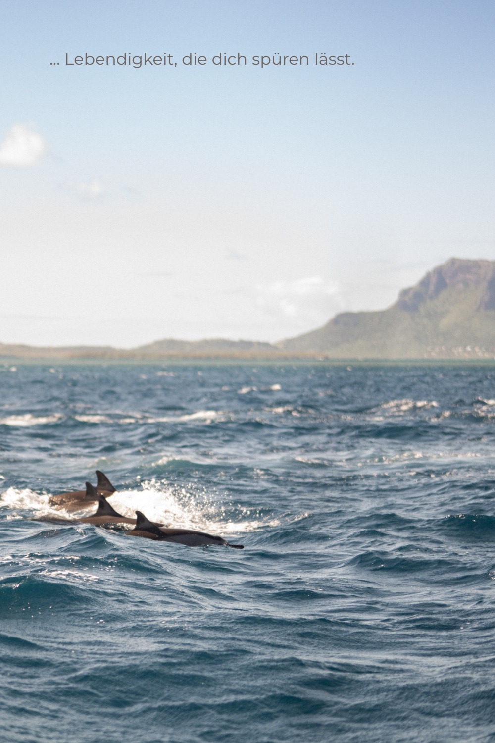 Meerweh – Wenn Weite etwas in uns ordnet Es gibt dieses Gefühl, das schwer zu erklären ist. Man steht am Meer, blickt hinaus, und plötzlich wird alles weiter. Die Gedanken werden langsamer. Nicht, weil sie verschwinden, sondern weil sie ihren Druck verlieren. Meerweh ist kein Fernweh im klassischen Sinn. Es ist kein Drang nach Bewegung, sondern eher ein inneres Öffnen. Ein Moment, in dem man nichts festhalten muss. Die Wellen kommen und gehen. Gedanken kommen und gehen. Und für einen Augenblick fühlt sich genau das richtig an. Das Meer fordert nichts. Es bewertet nicht. Es ist einfach da – weit, ruhig, kraftvoll. Vielleicht liegt genau darin seine Wirkung. Wenn man lange genug aufs Wasser blickt, sortiert sich etwas von selbst. Man erkennt neue Wege, nicht als klare Pläne, sondern als Gefühl. Als leises Wissen: Es darf leichter gehen. Das Meer erinnert uns Das Meer erinnert daran, dass Klarheit nicht laut ist. Sie entsteht oft dann, wenn wir aufhören, alles kontrollieren zu wollen. Wenn wir den Gedanken erlauben, sich wie die Wellen zu bewegen. Wenn wir uns selbst wieder zuhören. Vielleicht erkennen wir neue Wege nicht, weil wir sie suchen – sondern weil wir still genug werden, sie wahrzunehmen. Man sitzt da, hört das rhythmische Atmen der Wellen, und merkt, wie der Körper nachzieht. Schultern sinken. Der Atem wird tiefer. Gedanken verlieren ihre Schärfe. Sie bewegen sich wie das Wasser selbst – weich, aber bestimmt. Vielleicht ist genau das der Moment, in dem Klarheit entsteht. Nicht durch Nachdenken, sondern durch Loslassen. Wenn Meerweh bleibt Man kann das Meer nicht mitnehmen. Aber man kann etwas mitnehmen, das an dieses Gefühl erinnert. Ein Stück Ruhe. Ein Stück Weite. Ein kleines Innehalten für den Alltag. Die Schmuckstücke aus der Meerweh-Kollektion sind genau daraus entstanden. Als Erinnerung. An diesen Moment, in dem alles etwas leiser wird. In dem man klarer sieht, ohne zu suchen. Edelsteine wie Aquamarin erinnert an die Farbe des Wassers, an Tiefe, an Bewegung. Ruhig und lebendig zugleich. Meerweh ist gedacht als Begleiter für Tage, an denen man kurz innehalten möchte. Als stiller Anker, wenn der Kopf voll ist und die Gedanken wieder ins Fließen kommen dürfen. Vielleicht ist Meerweh kein Ort. Vielleicht ist es ein Zustand, den man immer wieder berühren kann.